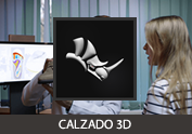 DIPLOMADO RHINOCEROS - DISEÑO Y MODELADO DE CALZADO EN 3D